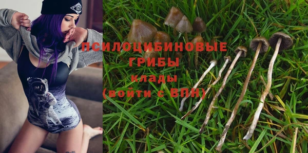 гашик Козельск