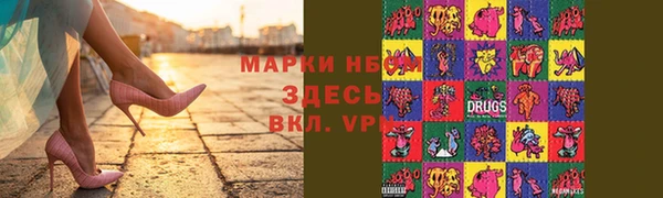 гашик Козельск