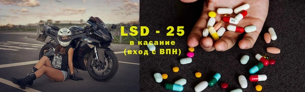 крисы Козловка