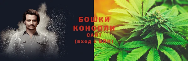 крисы Козловка