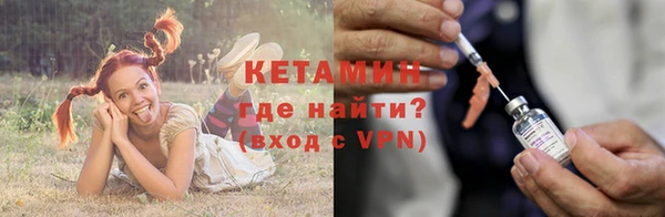 гашик Козельск