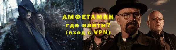 гашик Козельск