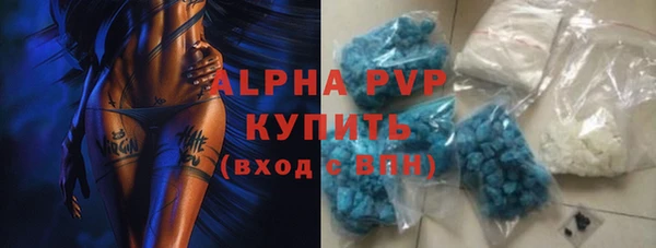 гашик Козельск