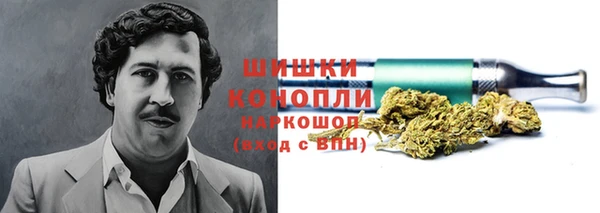 крисы Козловка