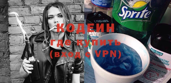 гашик Козельск