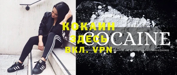 крисы Козловка