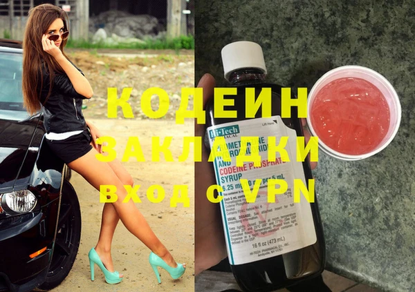 гашик Козельск