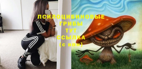 крисы Козловка