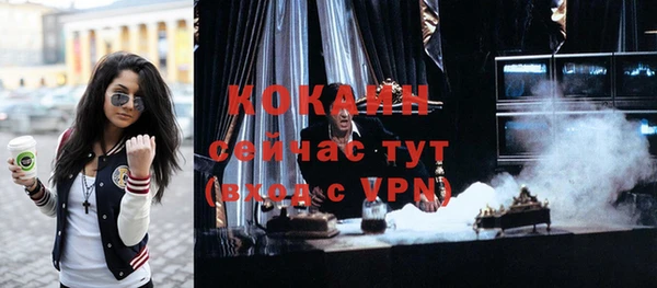 гашик Козельск