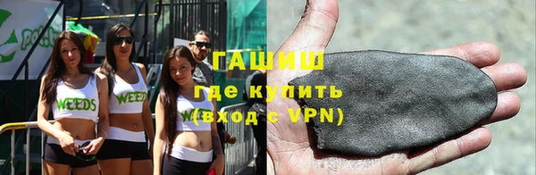 гашик Козельск