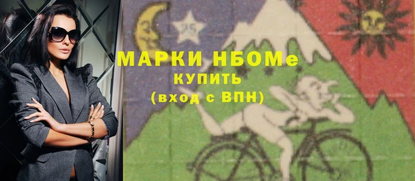 гашик Козельск