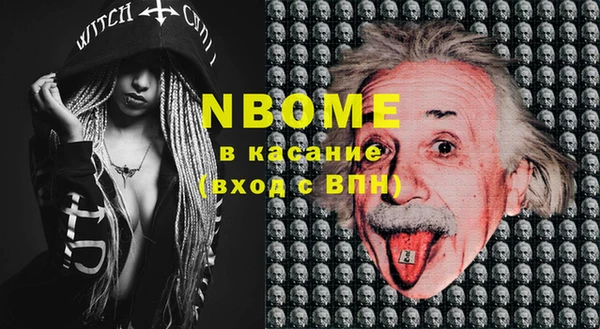 крисы Козловка