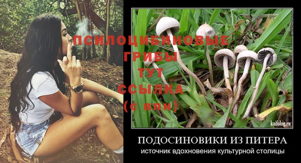 герыч Кодинск