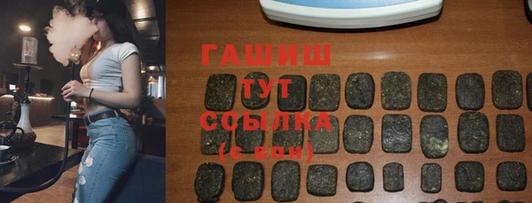 гашик Козельск