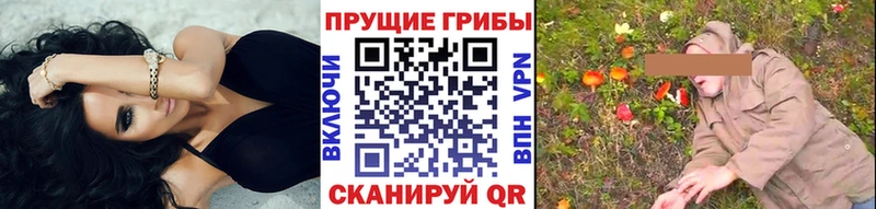 Галлюциногенные грибы Cubensis  Купить  Якутск 