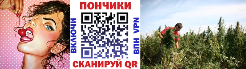 МАРИХУАНА MAZAR  Купить где  Якутск 